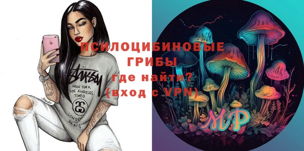 хмурый Абинск