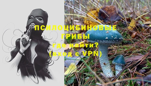 ALPHA PVP Алексин